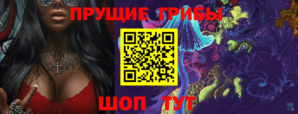 Карталы  Псилоцибиновые грибы мицелий  Вход с VPN 