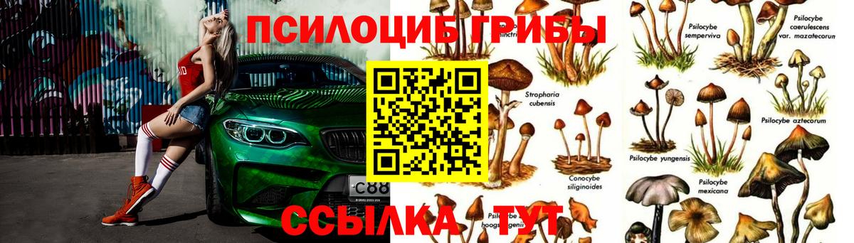 Псилоцибиновые грибы мицелий Карталы